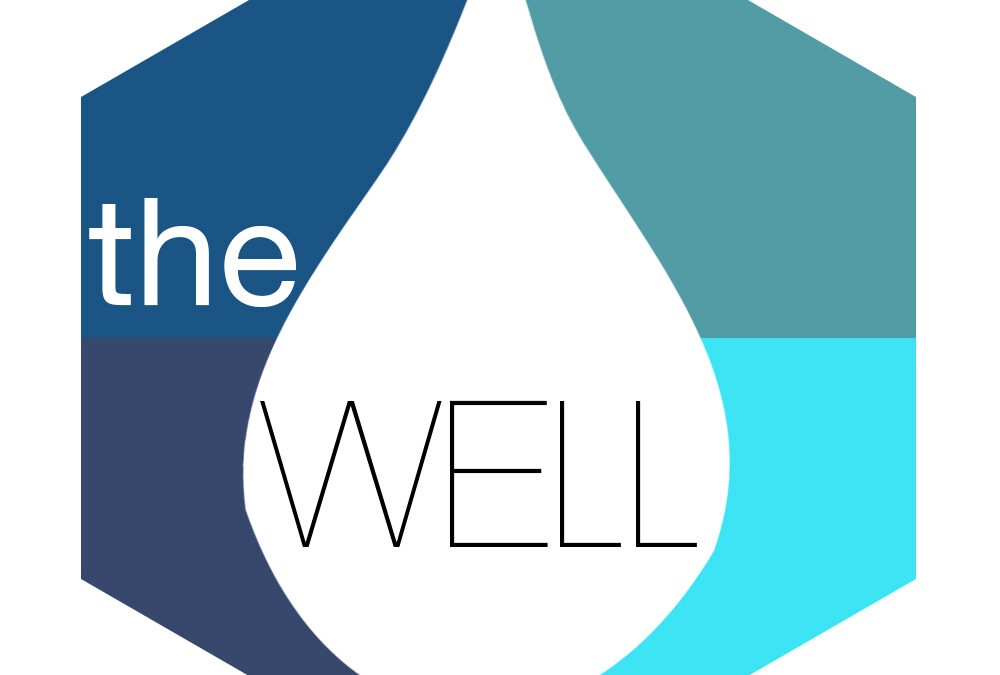 The Well Parent Night