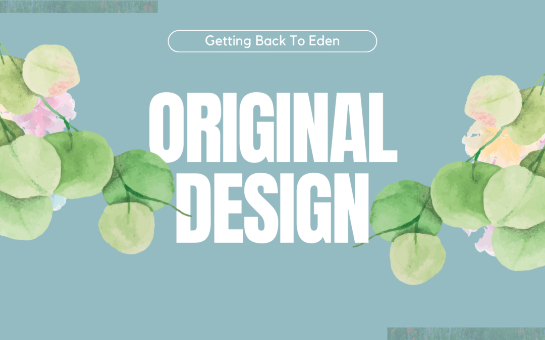“Original Design” – Part 3: Pastor Shawn & Pastor Cyon – Jan 21st, 2024